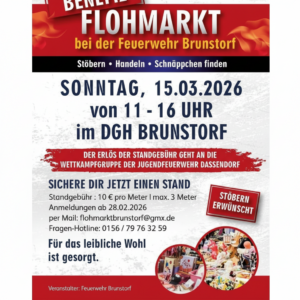 FireflyGemini Flasherstelle ein plakat 881533 1 | NORDISCH LIFESTYLE Firefly Gemini Flash erstelle ein plakat 881533 1