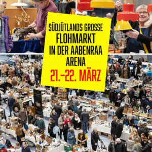 FireflyGeminiFlasherstelle ein Plakat bitte original Datum 482911 | NORDISCH LIFESTYLE Firefly GeminiFlash erstelle ein Plakat bitte original Datum 482911