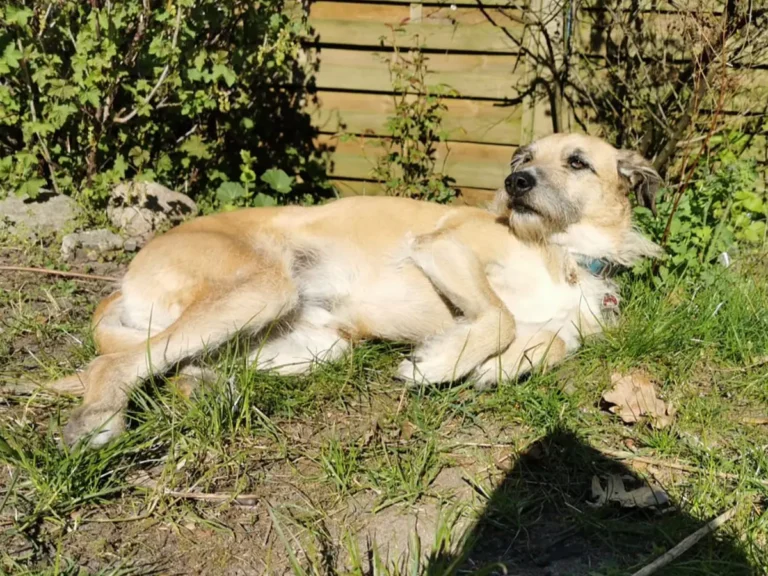 Wini-Sammy-Beitrag-NORDISCHLIFESTYLE-042026